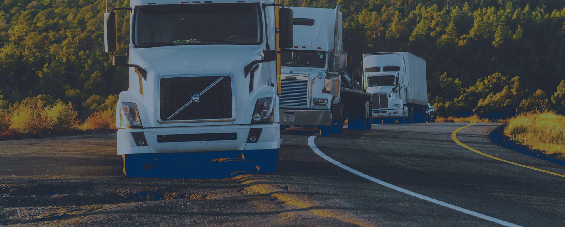 RapidExpress courier truck loading freight at a distribution hub
